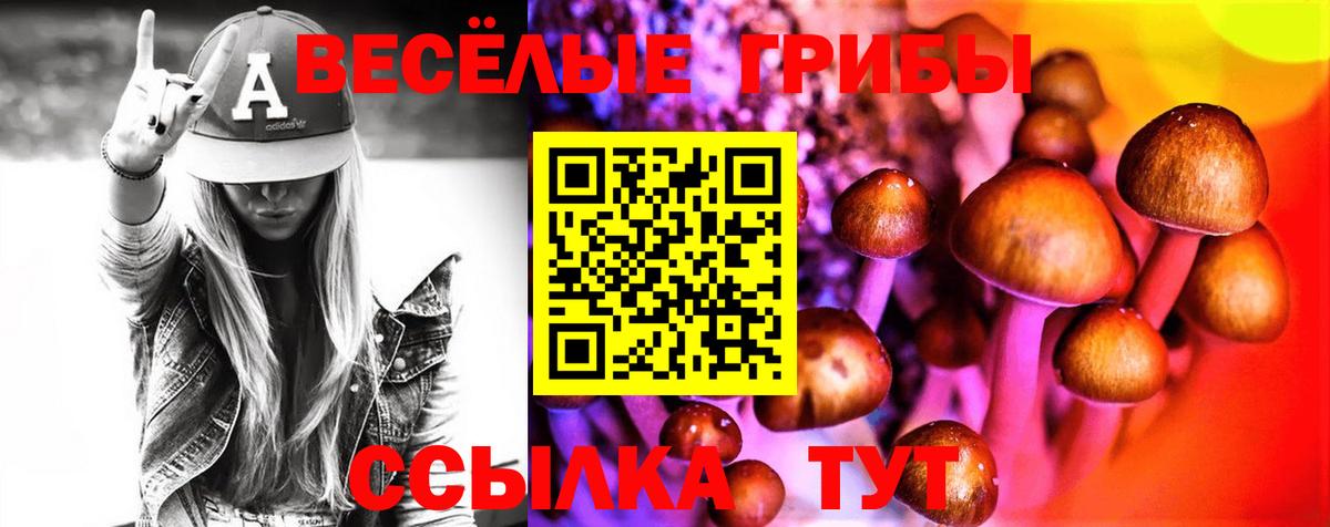 Снежинск  купить наркотики сайты  Вход с VPN  Псилоцибиновые грибы мицелий 